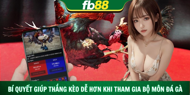 Bí quyết giúp thắng kèo dễ hơn khi tham gia bộ môn đá gà