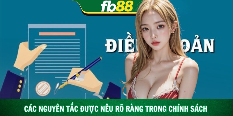 Các nguyên tắc được nêu rõ ràng trong chính sách