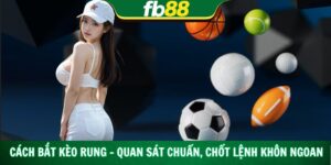 Cách Bắt Kèo Rung – Quan Sát Chuẩn, Chốt Lệnh Khôn Ngoan