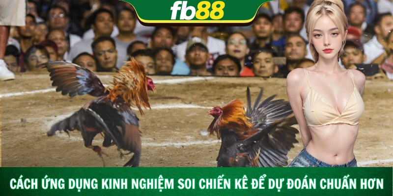 Cách ứng dụng kinh nghiệm soi chiến kê để dự đoán chuẩn hơn