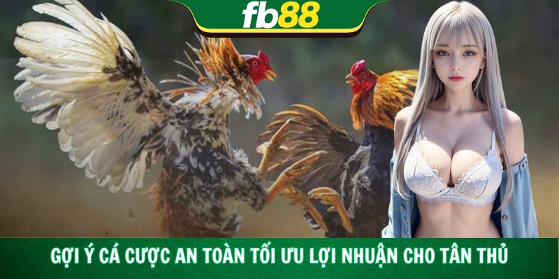 Gợi ý cá cược an toàn tối ưu lợi nhuận cho tân thủ