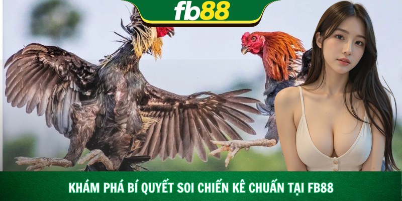 Hình ảnh trường đấu thật với chiến kê áp sát liên tục đầy kịch tính