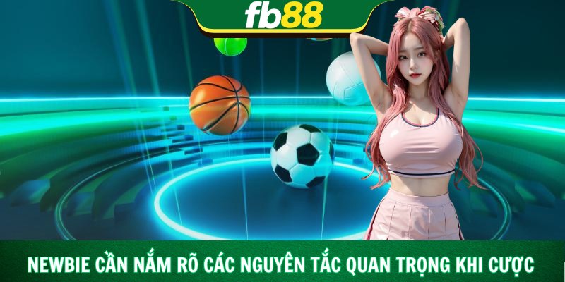 Newbie cần nắm rõ các nguyên tắc quan trọng khi cược